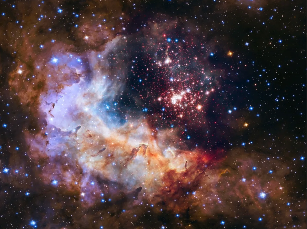 In-Depth Exploration of NGC 2316: Unraveling the Mysteries of Star Formation